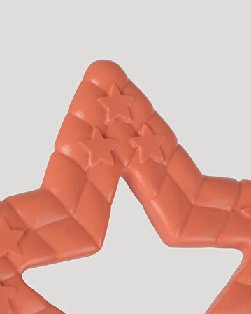  Yıldız Diş Kaşıyıcı Somon