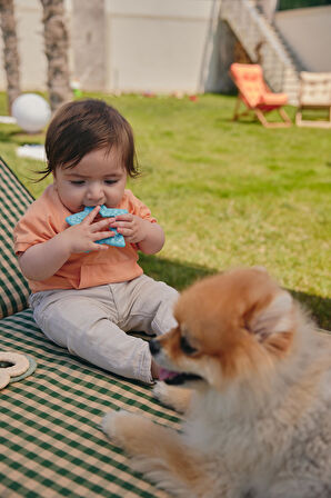  Yıldız Diş Kaşıyıcı Mavi