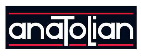 Anatolian Yaşam 1000 Parça Yetişkin Puzzle