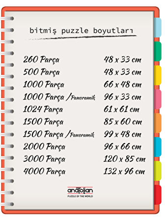 Anatolian 260 Parçalık Puzzle / Korsan Koyu - Kod 3349