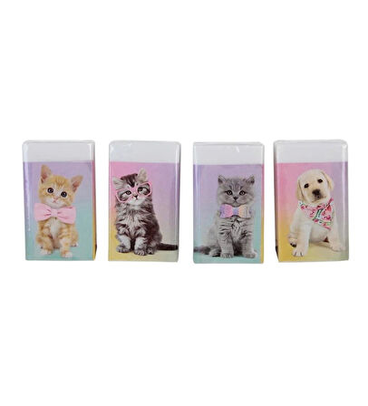 Dolphin Silgi Studıo Pets Pt-782