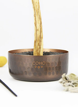 Coho Tütsü, Bedensiz, Çok Renkli