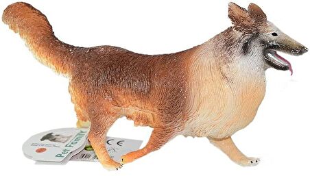 Asya Köpekler 6 Ass.21616-E013