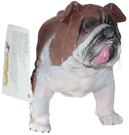 Asya Köpekler 6 Ass.21616-E013