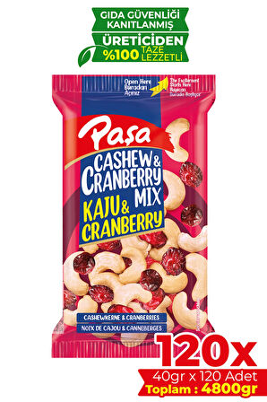 Kaju & Cranberry 40 gr X 120 Adet (4800 gr)(Toptan Kuruyemiş)