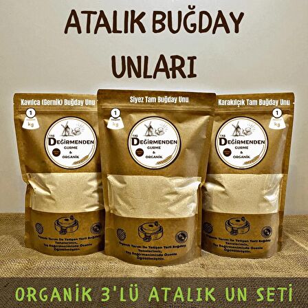 Organik Atalık Unlar Seti (Siyez-Karakılçık-Kavılca)