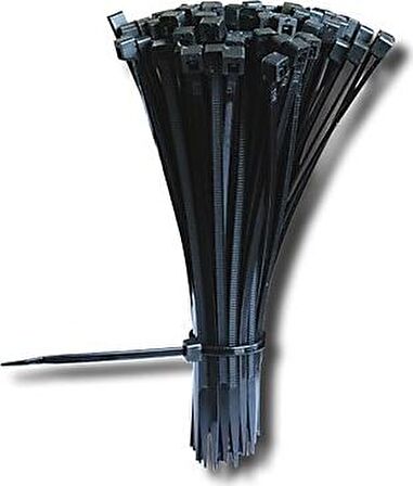 Sgs Cırt Kelepçe 2,5x200mm Siyah 100'LÜ SGS4602