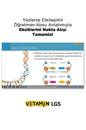 Vitamin 8. Sınıf LGS 2026 Sınava Hazırlık Seti - 28 Soru Bankası + 13 Deneme Sınavı | LGS Süper Tam Set