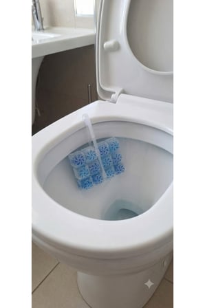 WC BLOK OKYANUS ESİNTİSİ 3'LÜ 150 GR