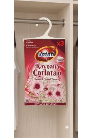 DOLAP VE ÇEKMECE KOKUSU KAYNANA ÇATLATAN 21 GR x 3 ADET