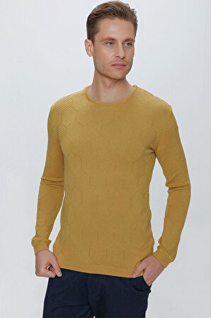 TR 853 Slim Fit Hardal Klasik Triko