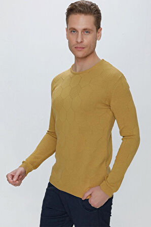 TR 853 Slim Fit Hardal Klasik Triko