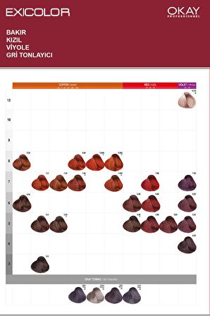 Exicolor Saç Boyası Tüp 60 Ml 5.4 Açık Kestane 2 Adet (Oksidan Hediyeli 4'lü Set)