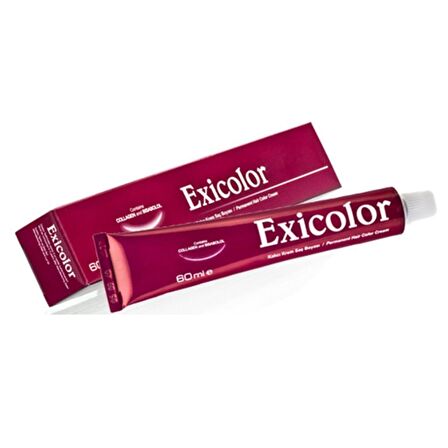 Exicolor Tüp Boya 6.20 Patlıcan Mor