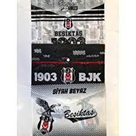 Beşiktaş Çıtçıtlı Dosya Dos-1903