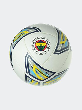 FENERBAHÇE NEWFORCE  FUTBOL TOPU NO:5