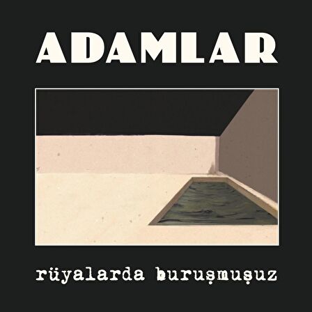 Adamlar - Rüyalarda Buruşmuşuz (Plak)  