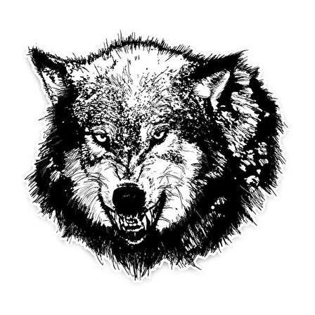 Tehlikeli Vahşi Aç kurt araba çıkartmaları 18CM