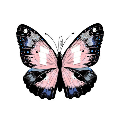 Güzel Kelebek renkli araba Sticker Etiket 17 Cm