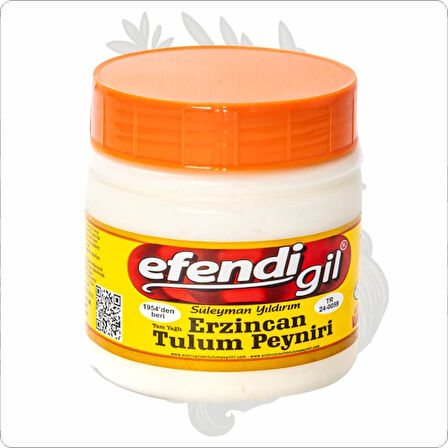 EFENDİGİL ERZİNCAN TULUM PEYNİRİ 290 GR