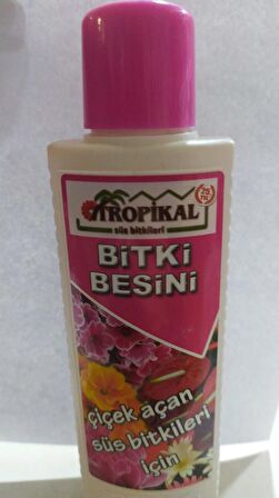 BİTKİ BESİNİ ÇİÇEK AÇAN SÜS BİTKİLERİ