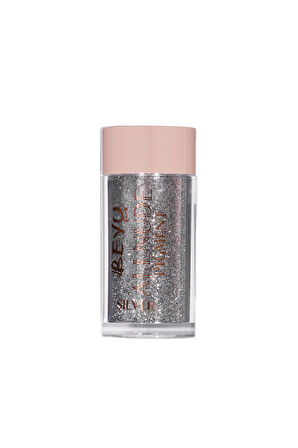 Beyu Deluxe All Nude Pigment Makyaj Simi Silver