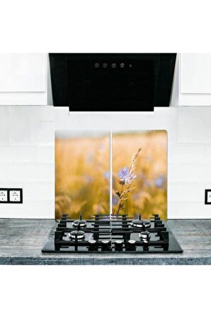 2' li 30x52 cm Cam Ocak Koruyucu Cam Kesme Tahtası Model 332 