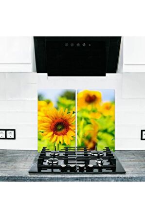 2' li 30x52 cm Cam Ocak Koruyucu Cam Kesme Tahtası Model 352 