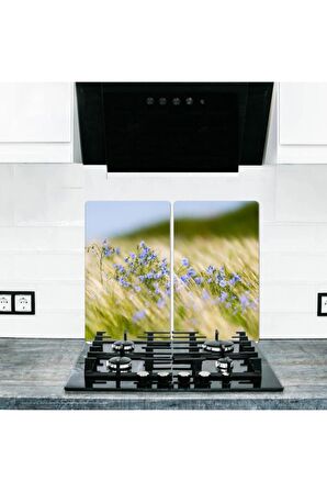 2' li 30x52 cm Cam Ocak Koruyucu Cam Kesme Tahtası Model 186 