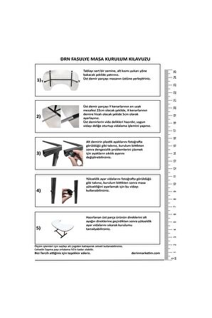 Fasülye Masa Silinebilir ve Eğitici Model