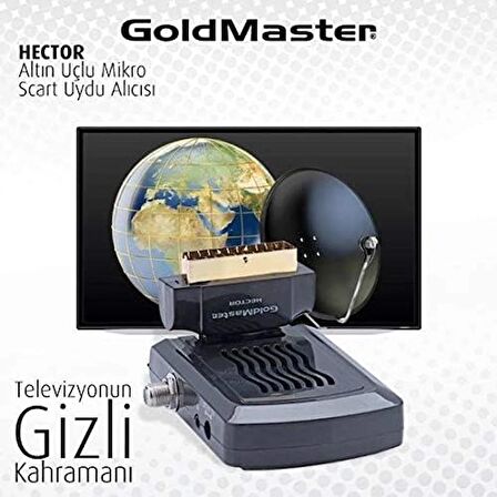 GoldMasterHector Mini Altın Uçlu Scart Girişlli Tüplü TV Uyumlu Scart Uydu Alıcısı