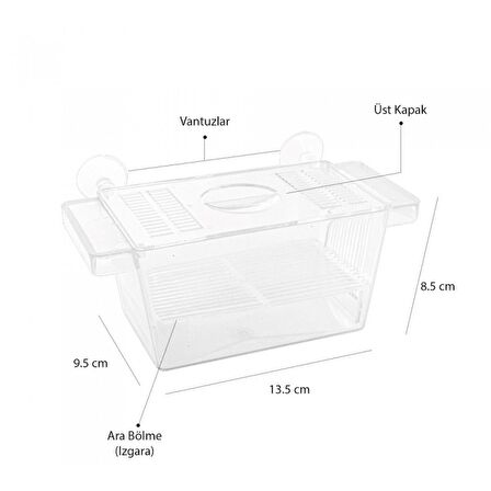 Atlantik Tekli Kristal Balık Yavruluk 13,5 Cm x 8,5 Cm