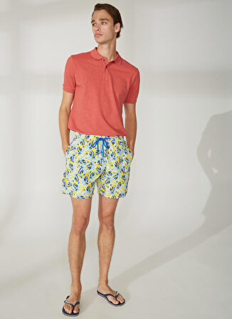 Blackspade Çok Renkli Erkek Şort Mayo 10419