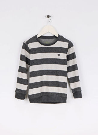 Blackspade Çizgili Antrasit Erkek Çocuk Pijama Takımı 40846