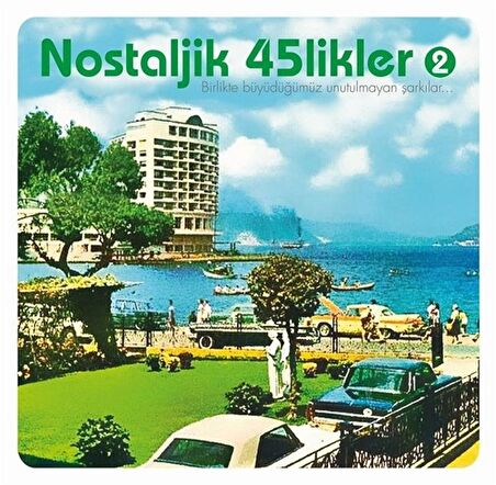 Nostaljik 45 likler  2 -  (Plak)  