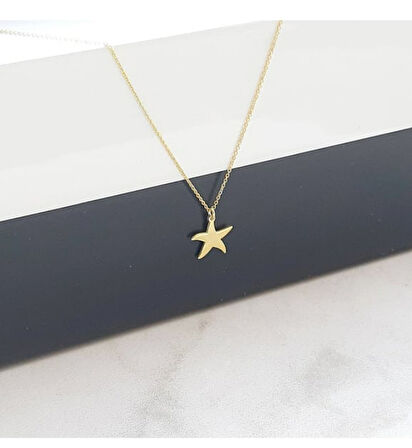 Yıldız Model Şans 14 Ayar Altın Kolye