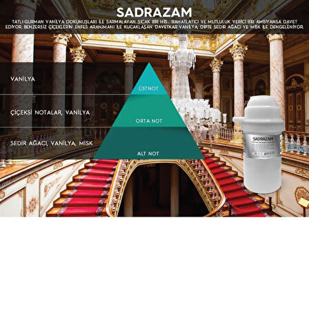 Rulopak Sadrazam Koku Kartuşu 100 ml (M5-M6)