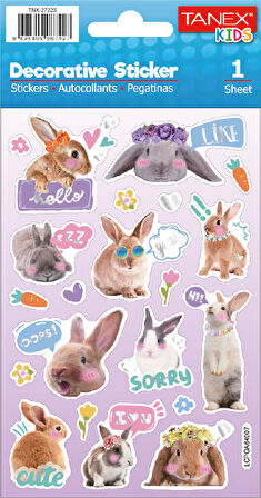 Tanex Puffy Instagram Tavşanları Serisi TNX-27226