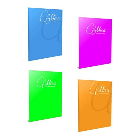 Gıpta Mica Tel Dikişli Plastik Kapak Defter A5 60 Yaprak Kareli 4'lü