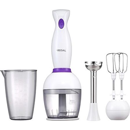 REGAL REBS 1000 B EL BLENDER SETİ