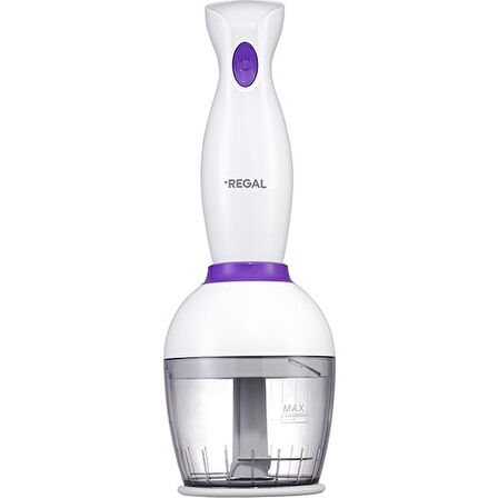 REGAL REBS 1000 B EL BLENDER SETİ