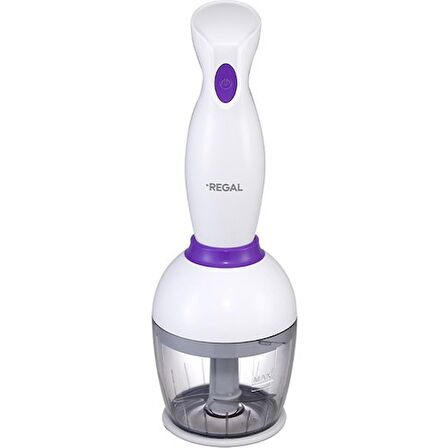 REGAL REBS 1000 B EL BLENDER SETİ