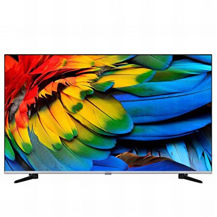 Regal 50R66QA11 50" 126 Ekran 4K Ultra HD Uydu Alıcılı Android Smart QLed Televizyon