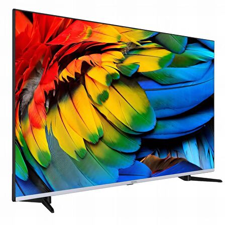 Regal 50R66QA11 50" 126 Ekran 4K Ultra HD Uydu Alıcılı Android Smart QLed Televizyon