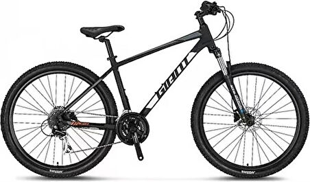 GIANT TALON 2-S ERKEK DAĞ BİSİKLETİ M360H HD 29 JANT 16 VİTES ACERA GRİ