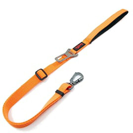 Tailpetz Travel Leash Köpek Gezdirme Kayışı Turuncu Small