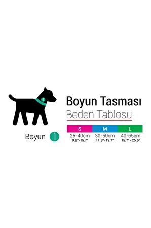 Tailpetz Boo Köpek Boyun Tasması Medıum