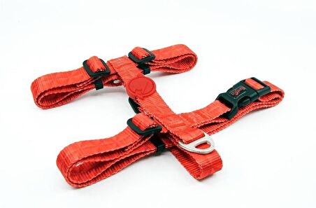 Tailpetz Prism H-Harness Orta Ve Büyük Irk Köpek Göğüs Tasması Large