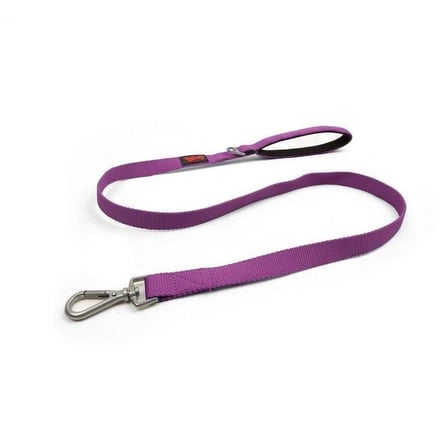 Tailpetz Match Leash Köpek Gezdirme Kayışı Mor Small