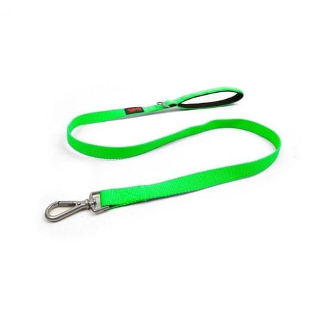 Tailpetz Match Leash Köpek Gezdirme Kayışı Neo-Yeşil Mavisi Small